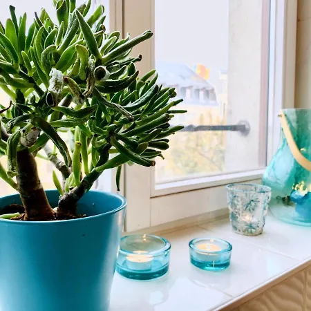 Apartment Am Puls Der Stadt - In Citynaehe! - 